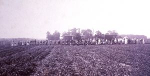 NBHA slides1075